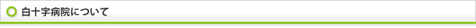 白十字病院について