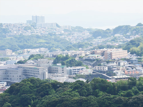 見晴らしの良い高台