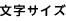 文字サイズ